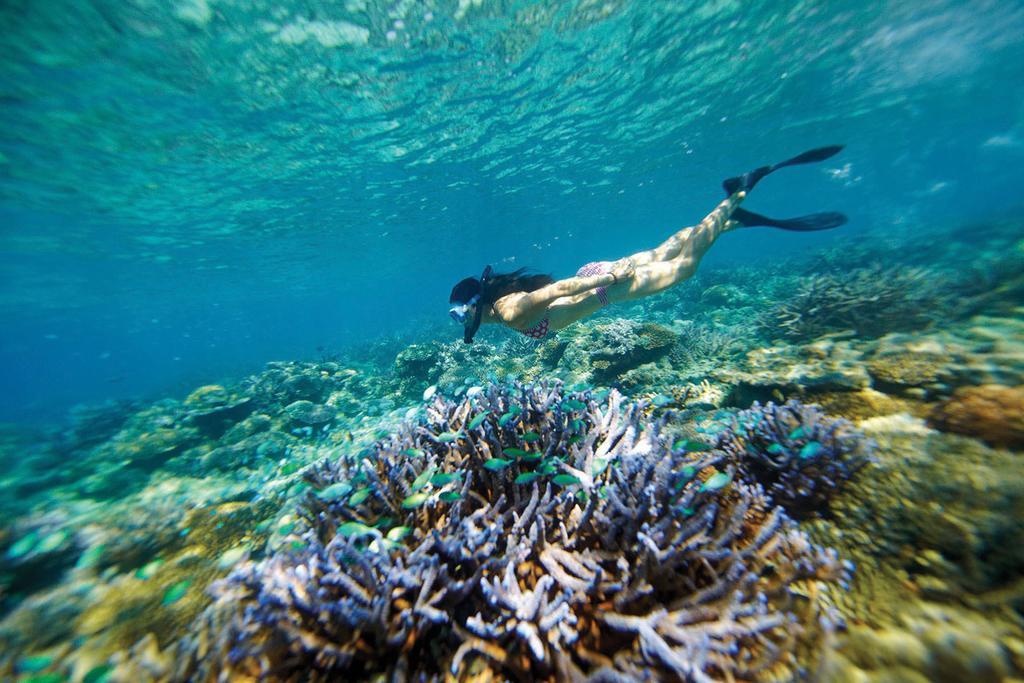 Mantaray Island Resort Nanuya Balavu Island Εξωτερικό φωτογραφία