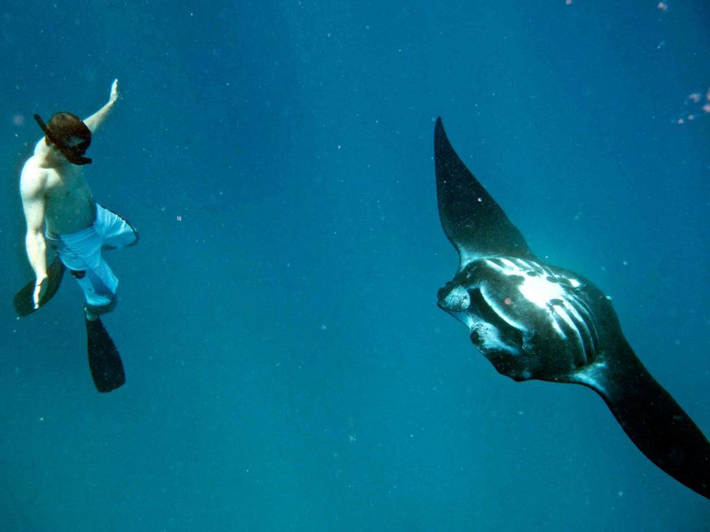 Mantaray Island Resort Nanuya Balavu Island Εξωτερικό φωτογραφία